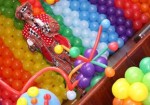 animacao-de-festa-em-santana-1432159246