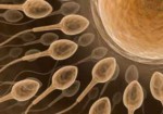 clinicas-de-fertilizacao-humana-em-santana-1432212410