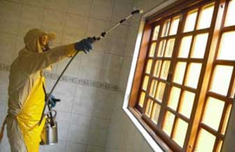 JP Dedetização - Foto 1