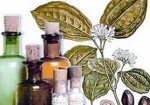 farmacias-de-homeopatia-em-santana-1432213544