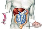 gastroenterologia-em-santana-1432214128