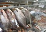 peixaria-em-santana-1432053420