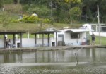 pesqueiros-em-santana-1432129615