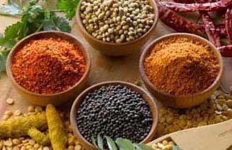 Octagon Suplementos - Foto 1