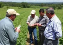 visita técnica da Comissão Fundiária