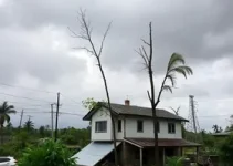 temporal em Santana do Livramento